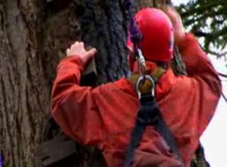The climb.
